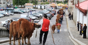 Feiras Francas com acesso grátis aos artesãos